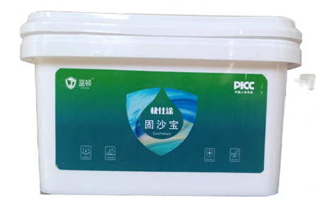 LD-3702 快仕涂固沙宝5KG