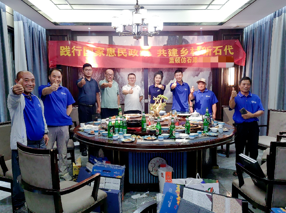 蓝顿 共建乡村新石代