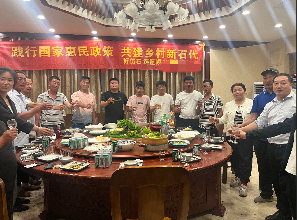 共建乡村新石代 好仿石 选蓝顿